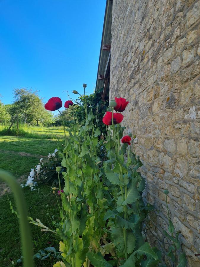Mandeville-en-Bessin Domaine De La Cour Vautier Bed & Breakfast エクステリア 写真