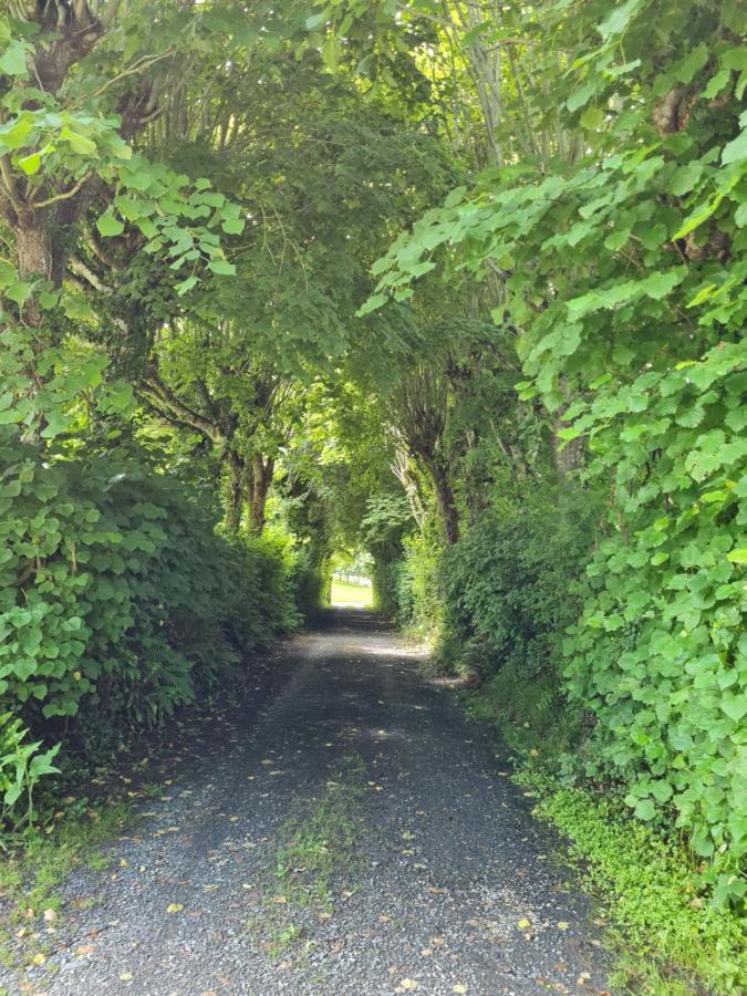 Mandeville-en-Bessin Domaine De La Cour Vautier Bed & Breakfast エクステリア 写真