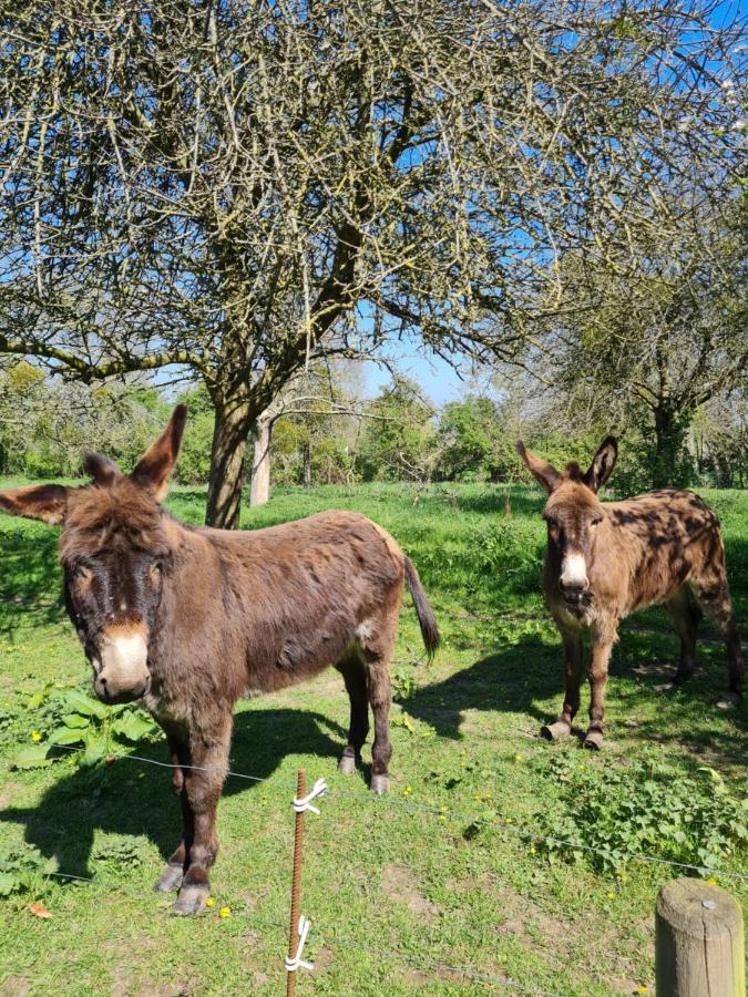 Mandeville-en-Bessin Domaine De La Cour Vautier Bed & Breakfast エクステリア 写真